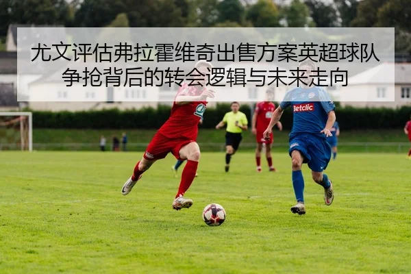 img_1781740255904_3756_1_522.jpg